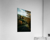 Route dautomne Acrylic Print