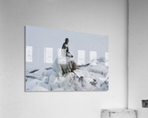 Frozen canal near statue of The Little Mermaid  Acrylic Print