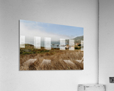 California Coast Acrylic Print