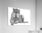 A7758286 4DF3 42E4 A332 7D58ACB67756 Acrylic Print