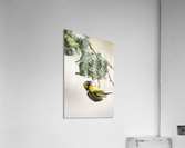 Anybody Home Acrylic Print