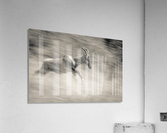 Full Speed Acrylic Print