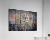I hate the Rain Acrylic Print