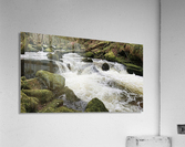 JPT 887F 2 Acrylic Print