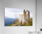 JPT 4433R Acrylic Print