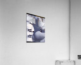 A Friend of Time Acrylic Print