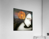 sun flower beauty Acrylic Print