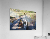 JPT 2012  Acrylic Print