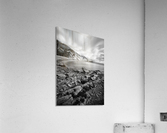 Entranced Acrylic Print