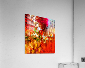 There is a magic in Snowdrop Acrylic Print