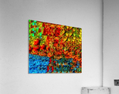 I am who I am Acrylic Print