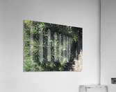 Nature’s Own  Acrylic Print