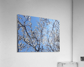 Lovely feelings Acrylic Print