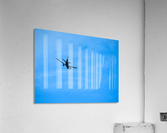 20190228 IMG_3580 Acrylic Print