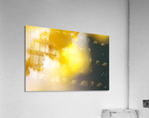 IMG_4012 Acrylic Print