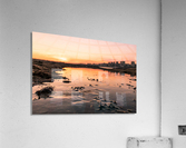 IMG_6296 Acrylic Print