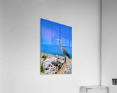 Standing Ovation  Acrylic Print