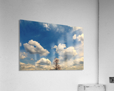 Eternal Flare  Acrylic Print