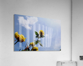 High Above  Acrylic Print