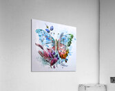 Arte 132 Butterfly oil paint style Acrylic Print