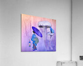 Arte 133 Butterfly Asia enhanced-style Acrylic Print