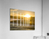 Golden La Jolla Sunrise Acrylic Print