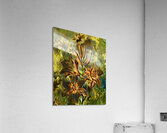 Arte 140 Flowers oil polyart style Acrylic Print