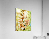 Arte 142 Flowers enhanced digitized style Acrylic Print