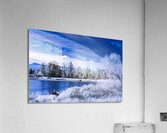 Courtenay Estuary in Infrared Acrylic Print