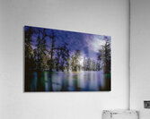 Louisiana Line of Trees Winter Wanderings Acrylic Print