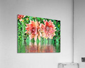 Arte 144 Dahlias Flowers enhanced-paint-style  Acrylic Print