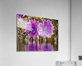 Arte 145 Dahlias Flowers pastel-paint-style Acrylic Print