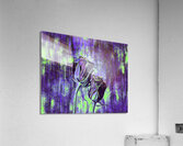 Arte 149 Roses Flowers impressionist-paint-style  Acrylic Print