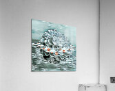 Arte 152 Dahlias in water oil-paint-style Acrylic Print