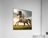 Running Horse  Acrylic Print