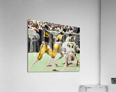 west virginia star quarterback jeff hostetler Acrylic Print