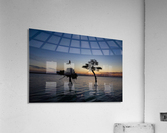 Sunrise on the Nest Acrylic Print