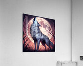 Howling Wolf 2 Acrylic Print