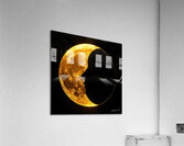 Lunar  Acrylic Print