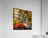 White Beauty Peacock Acrylic Print