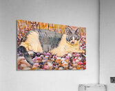 Cat in Wildflowers  oil paint Acrylic Print