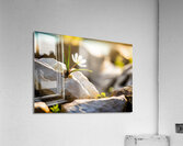 Natural Resilience - GIA2401-0222-REA Acrylic Print