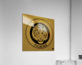 vintage circle tigers art Acrylic Print