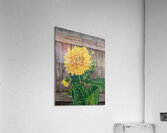 Sunshine In My Garden - Painting Acrylic Print