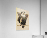 early 1900s owl with book row1 Acrylic Print
