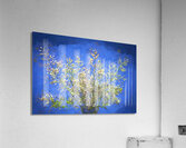 White Nandina Heavenly Bamboo X100 Acrylic Print