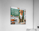 Golden Retriver Teacher Acrylic Print