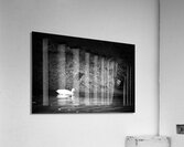 Oie blanche noir et blanc Acrylic Print