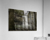 Fall between the trees Acrylic Print