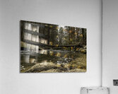 Log Acrylic Print